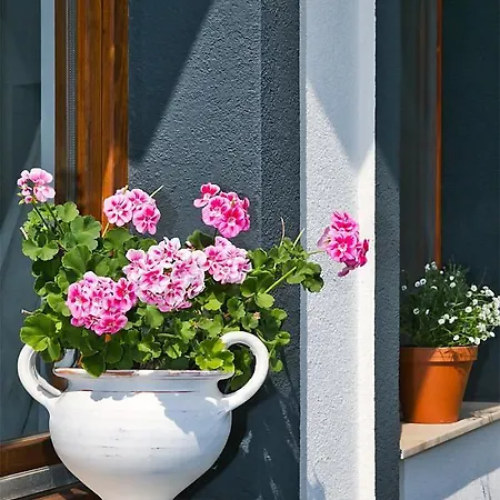 Apartment Haus Am Bach *